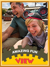 Image from www.disneytimesweeps.com